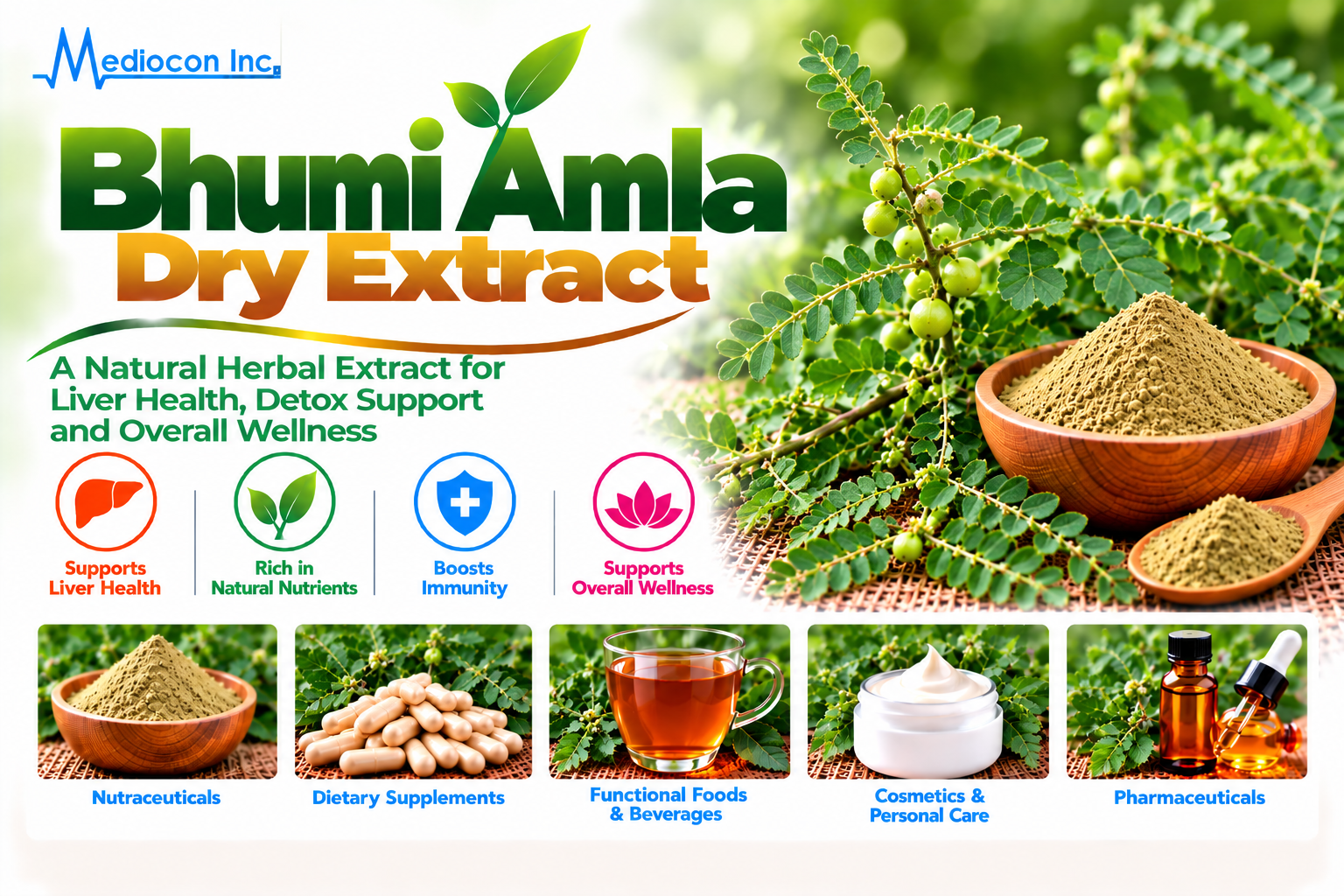 Bhumi Amla Dry Extract Manufacturer in India | Mediocon Inc. — Mediocon Inc