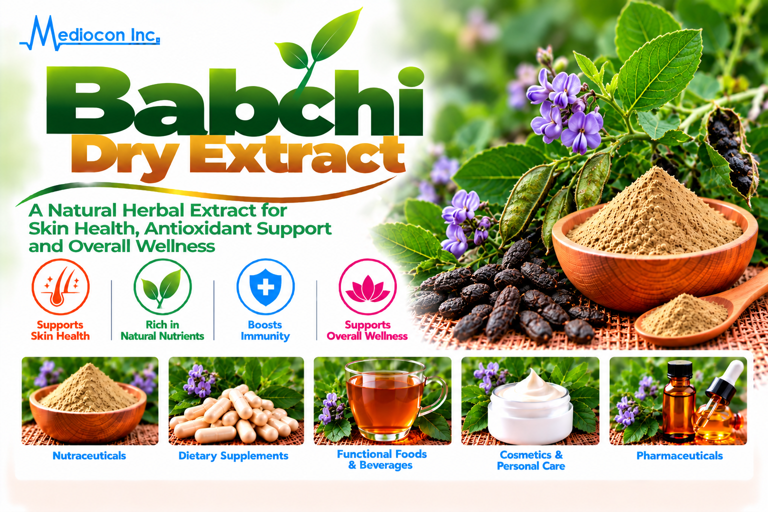 Babchi Dry Extract Manufacturer in India | Mediocon Inc. — Mediocon Inc