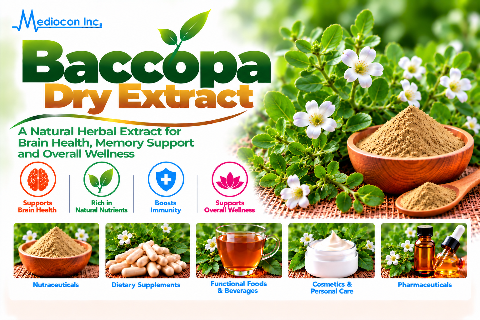 Bacopa Dry Extract Manufacturer in India | Mediocon Inc. — Mediocon Inc