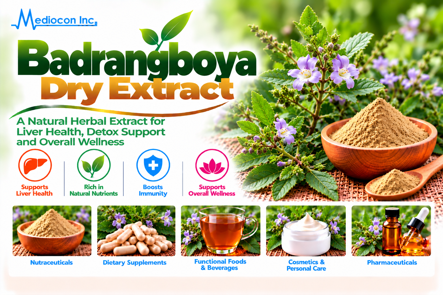 Badrangboya Dry Extract Manufacturer in India | Mediocon Inc. — Mediocon Inc