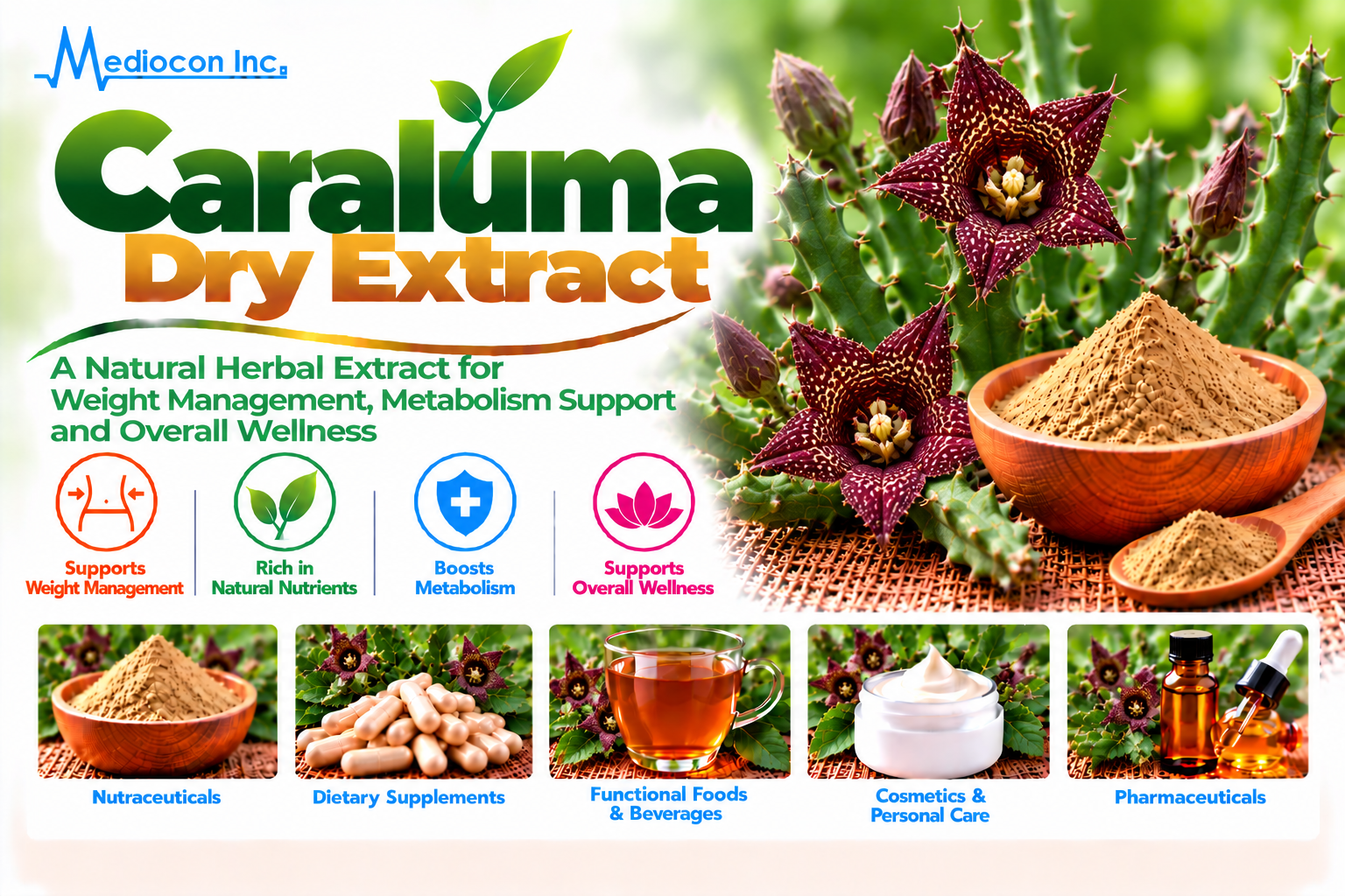 Caralluma Dry Extract Manufacturer in India | Mediocon Inc. — Mediocon Inc