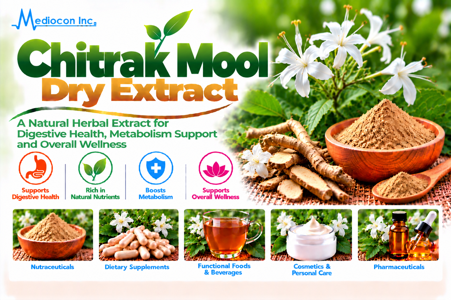 Chitrak Mool Dry Extract Manufacturer in India | Mediocon Inc. — Mediocon Inc