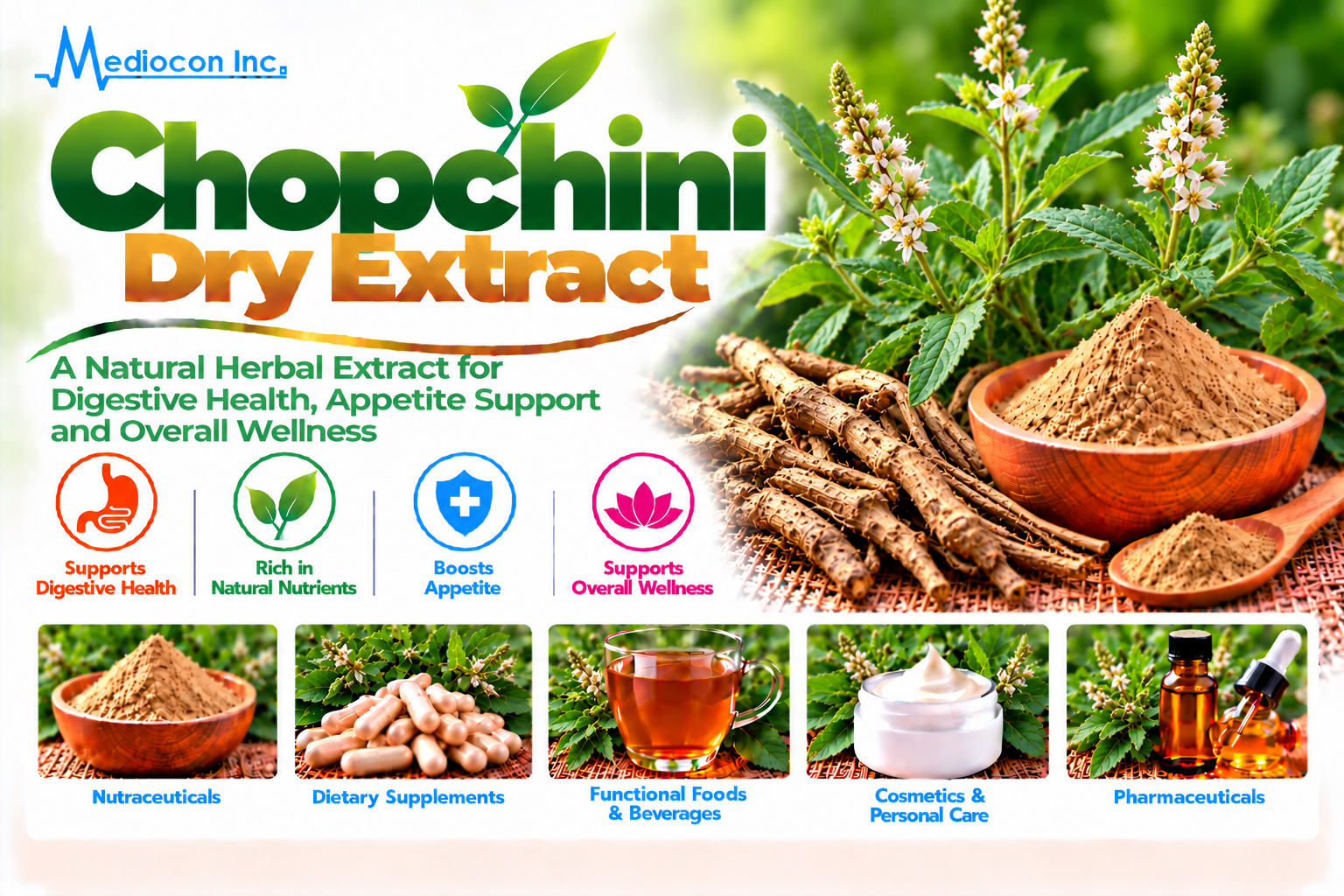 Chopchini Dry Extract Manufacturer in India | Mediocon Inc. — Mediocon Inc