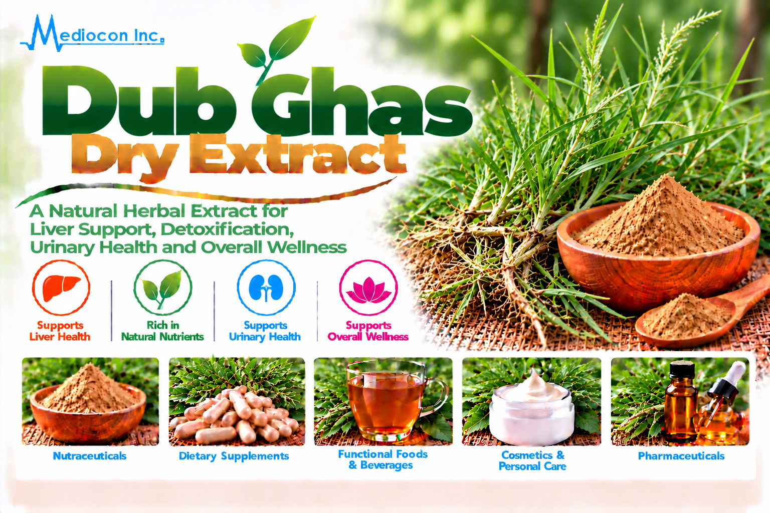 Dub Ghas Dry Extract Manufacturer in India | Mediocon Inc. — Mediocon Inc