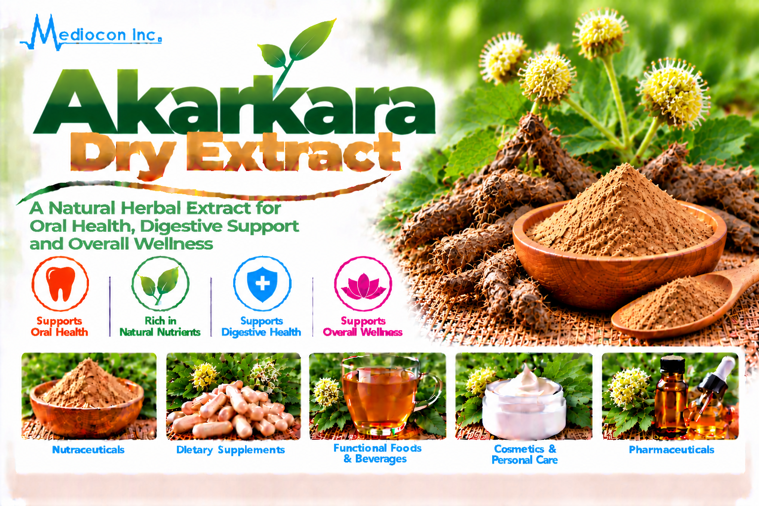 Akarkara Dry Extract Manufacturer in India | Mediocon Inc. — Mediocon Inc