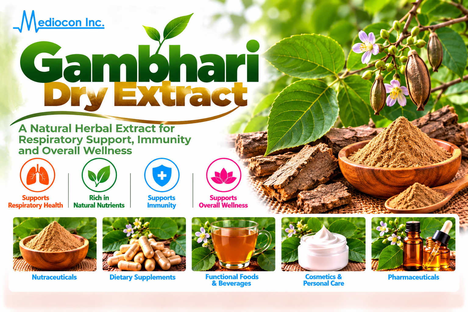 Gambhari Dry Extract Manufacturer in India | Mediocon Inc. — Mediocon Inc