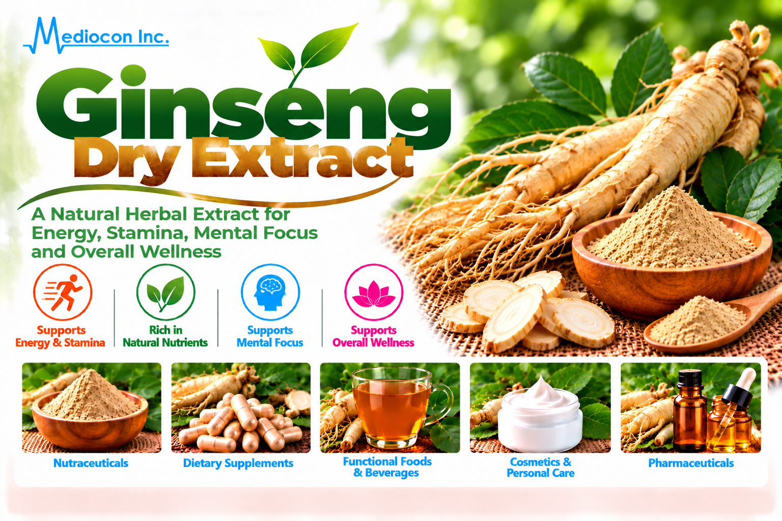 Ginseng Dry Extract Manufacturer in India | Mediocon Inc. — Mediocon Inc