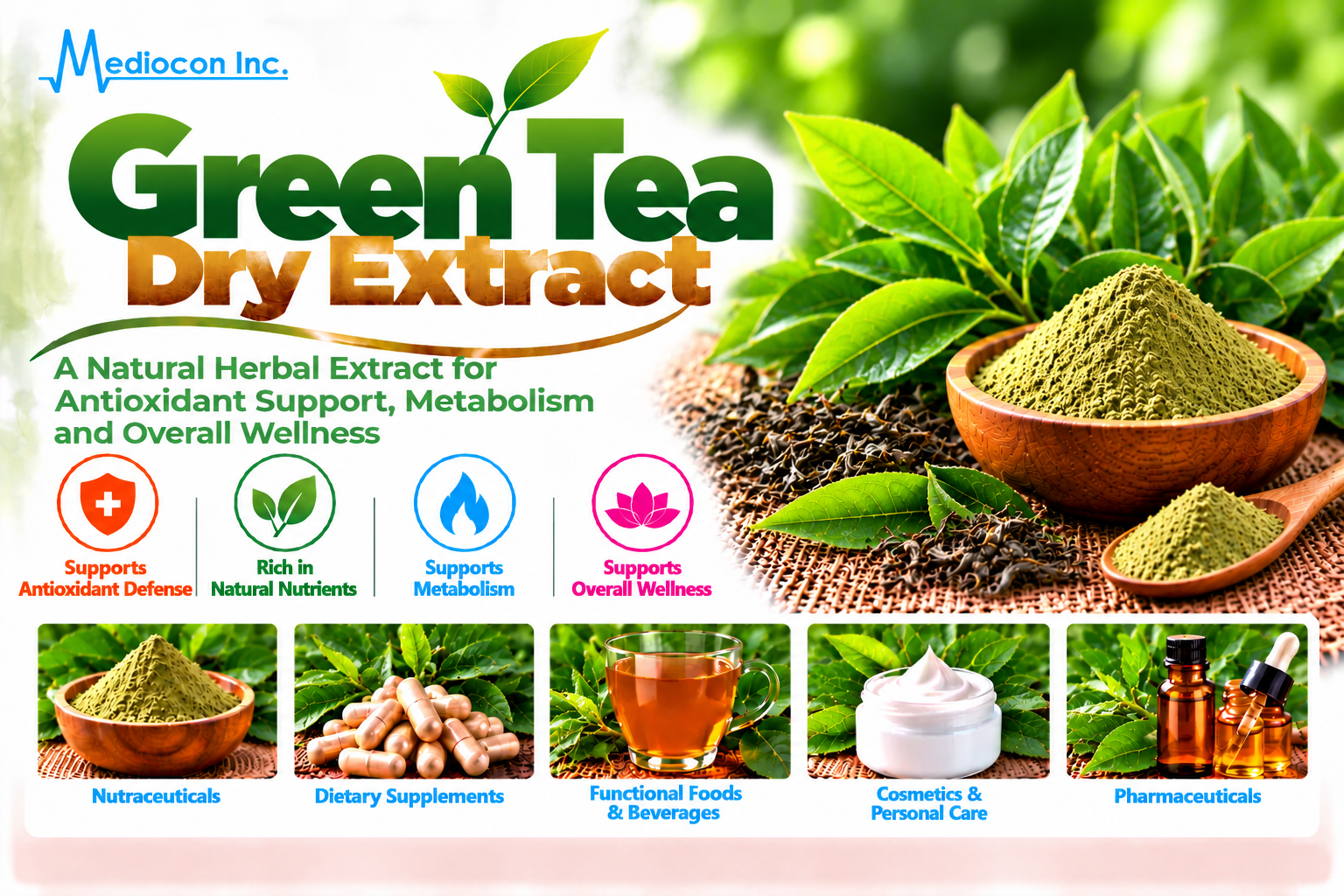 Green Tea Dry Extract Manufacturer in India | Mediocon Inc. — Mediocon Inc