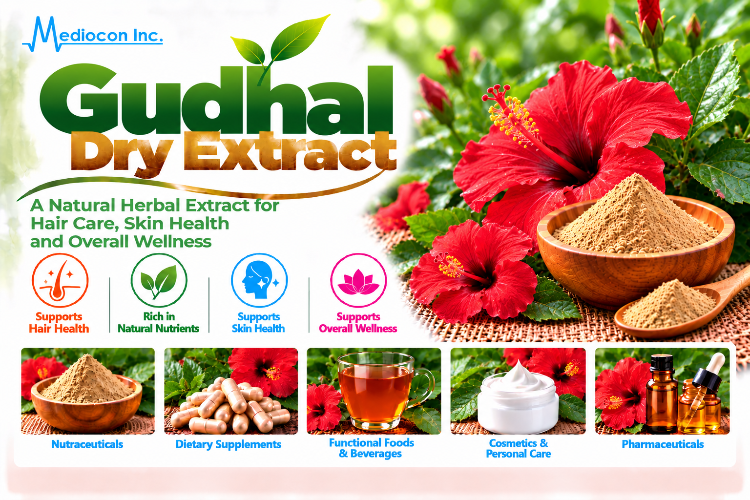 Gudhal Dry Extract Manufacturer in India | Mediocon Inc. — Mediocon Inc