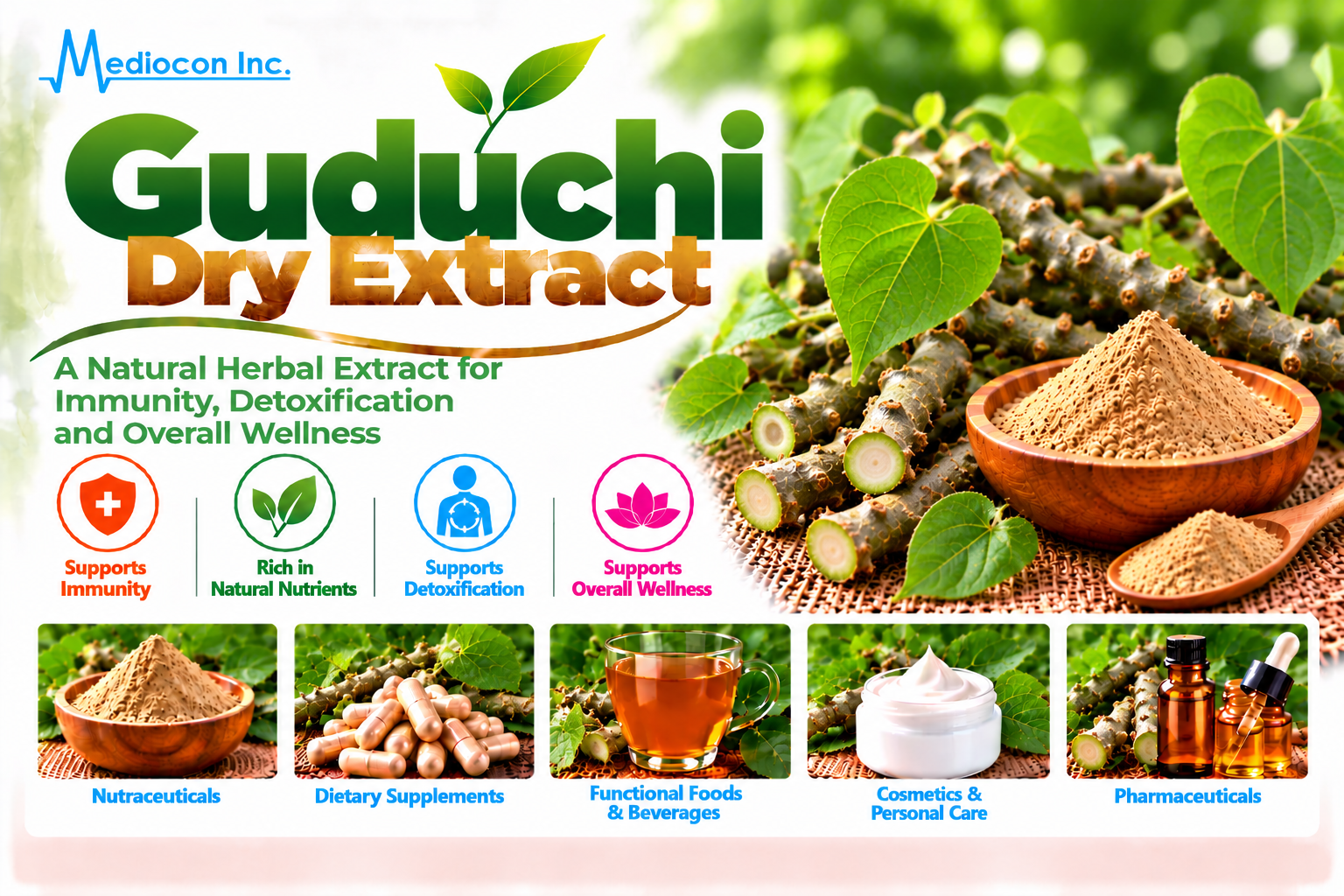 Guduchi Dry Extract Manufacturer in India | Mediocon Inc. — Mediocon Inc