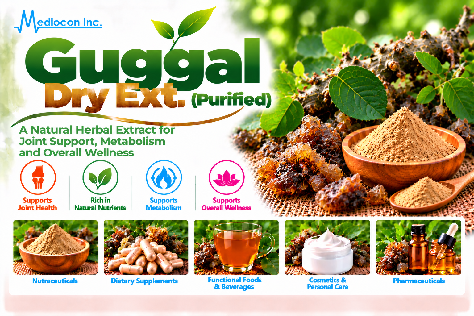 Guggal Dry Extract (Purified) Manufacturer in India | Mediocon Inc. — Mediocon Inc