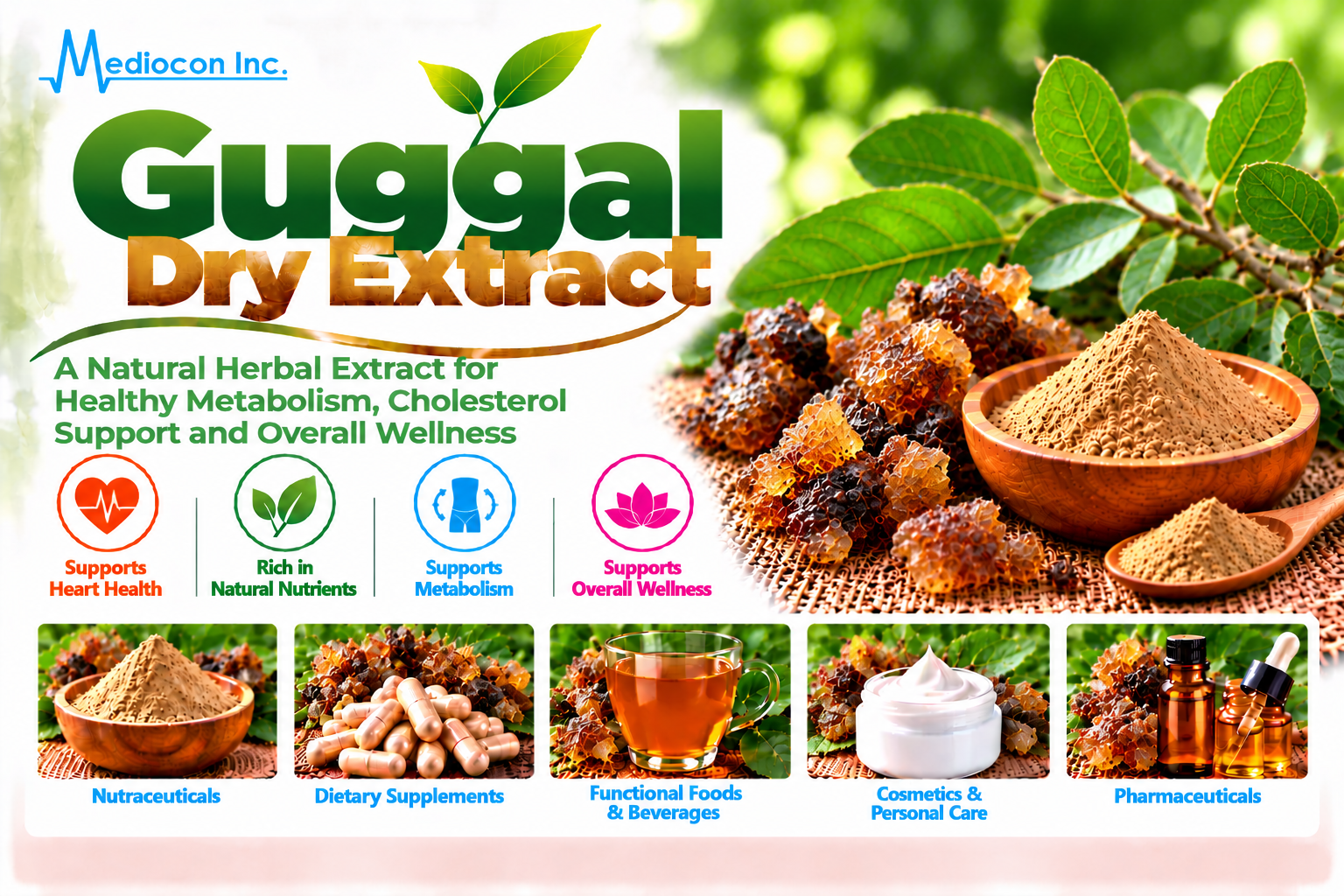 Guggal Dry Extract Manufacturer in India | Mediocon Inc. — Mediocon Inc