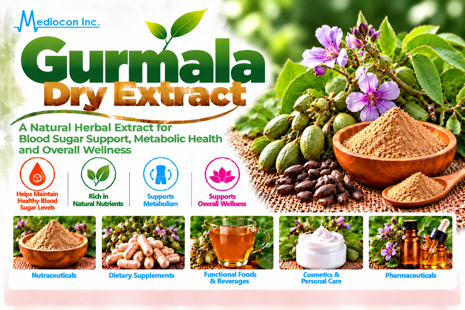 Gurmala Dry Extract Manufacturer in India | Mediocon Inc. — Mediocon Inc