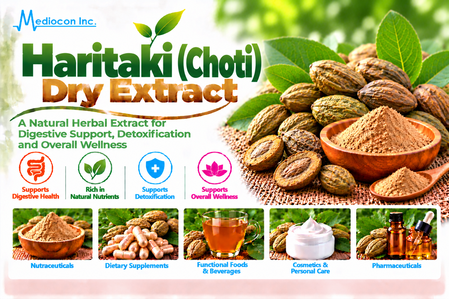 Haritaki (Choti) Dry Extract Manufacturer in India | Mediocon Inc. — Mediocon Inc