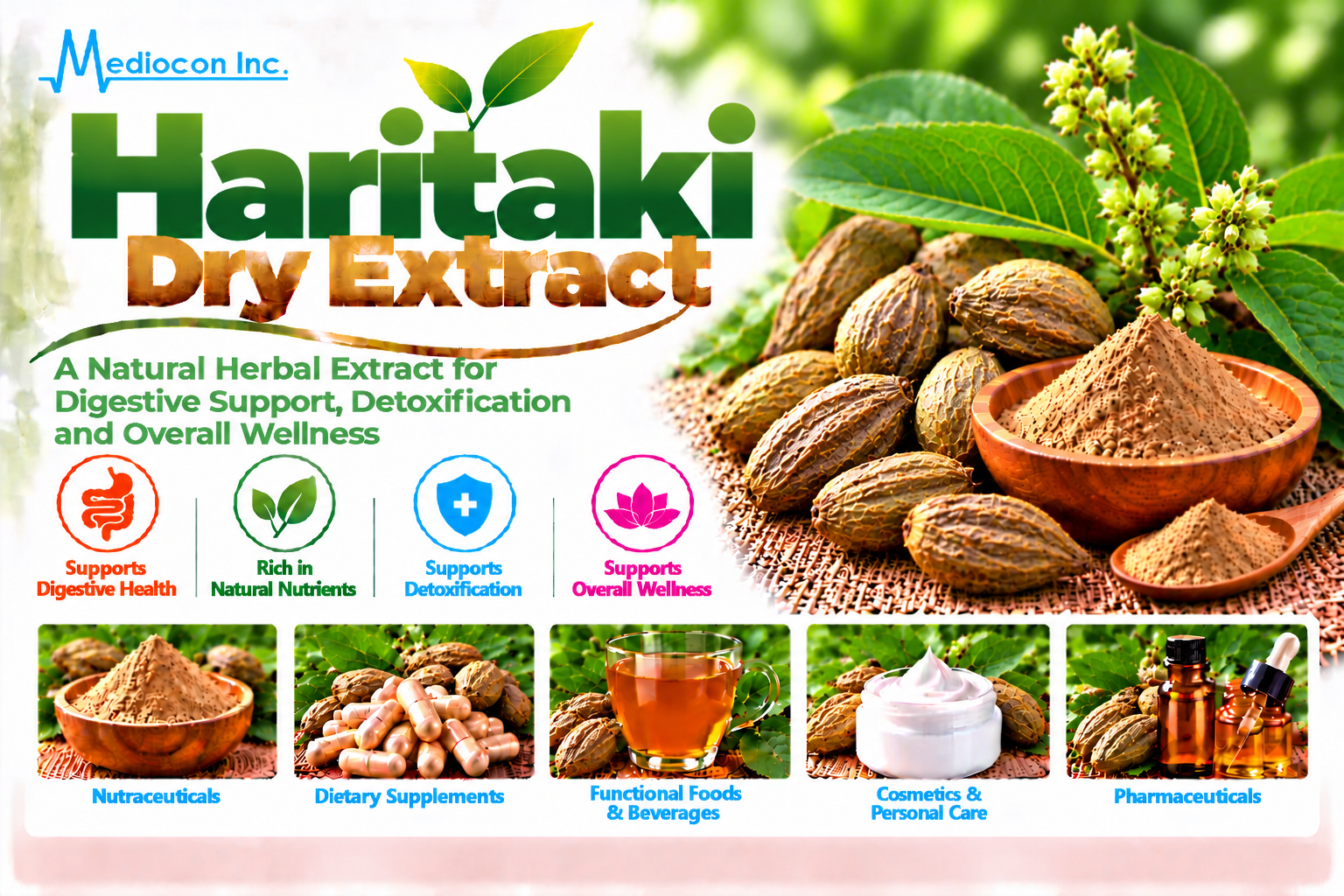 Haritaki Dry Extract Manufacturer in India | Mediocon Inc. — Mediocon Inc