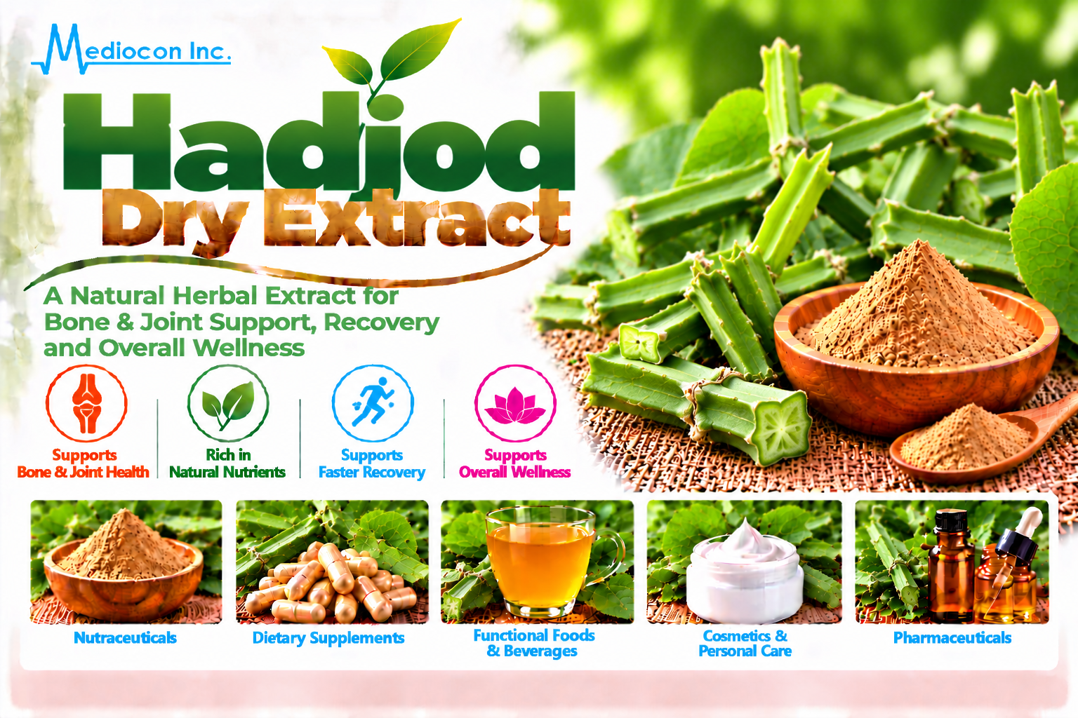 Hadjod Dry Extract Manufacturer in India | Mediocon Inc. — Mediocon Inc