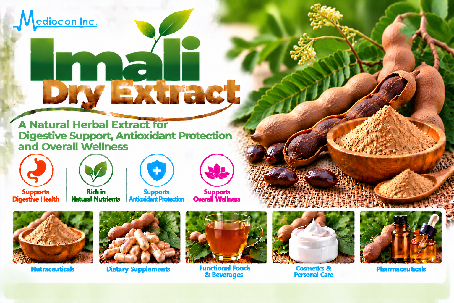 Imali Dry Extract Manufacturer in India | Mediocon Inc. — Mediocon Inc