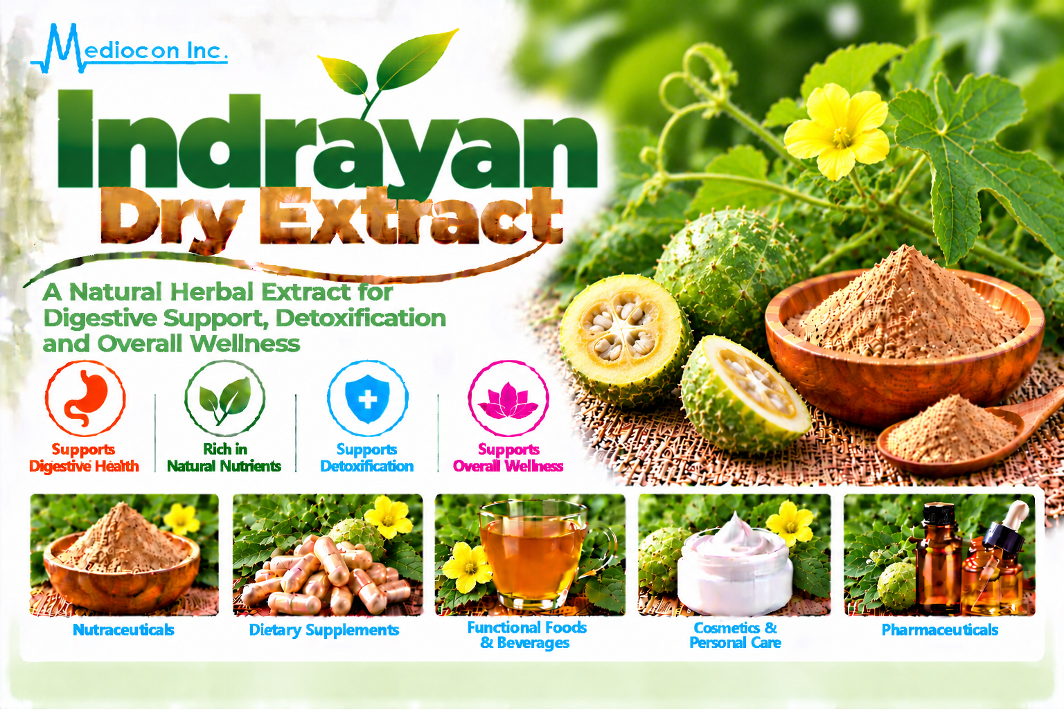 Indrayan Dry Extract Manufacturer in India | Mediocon Inc. — Mediocon Inc