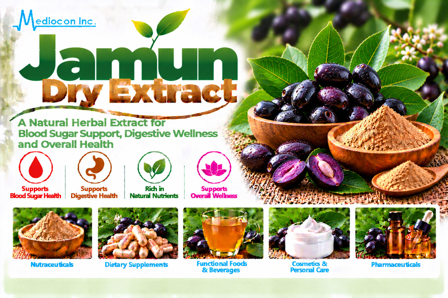 Jamun Dry Extract Manufacturer in India | Mediocon Inc. — Mediocon Inc